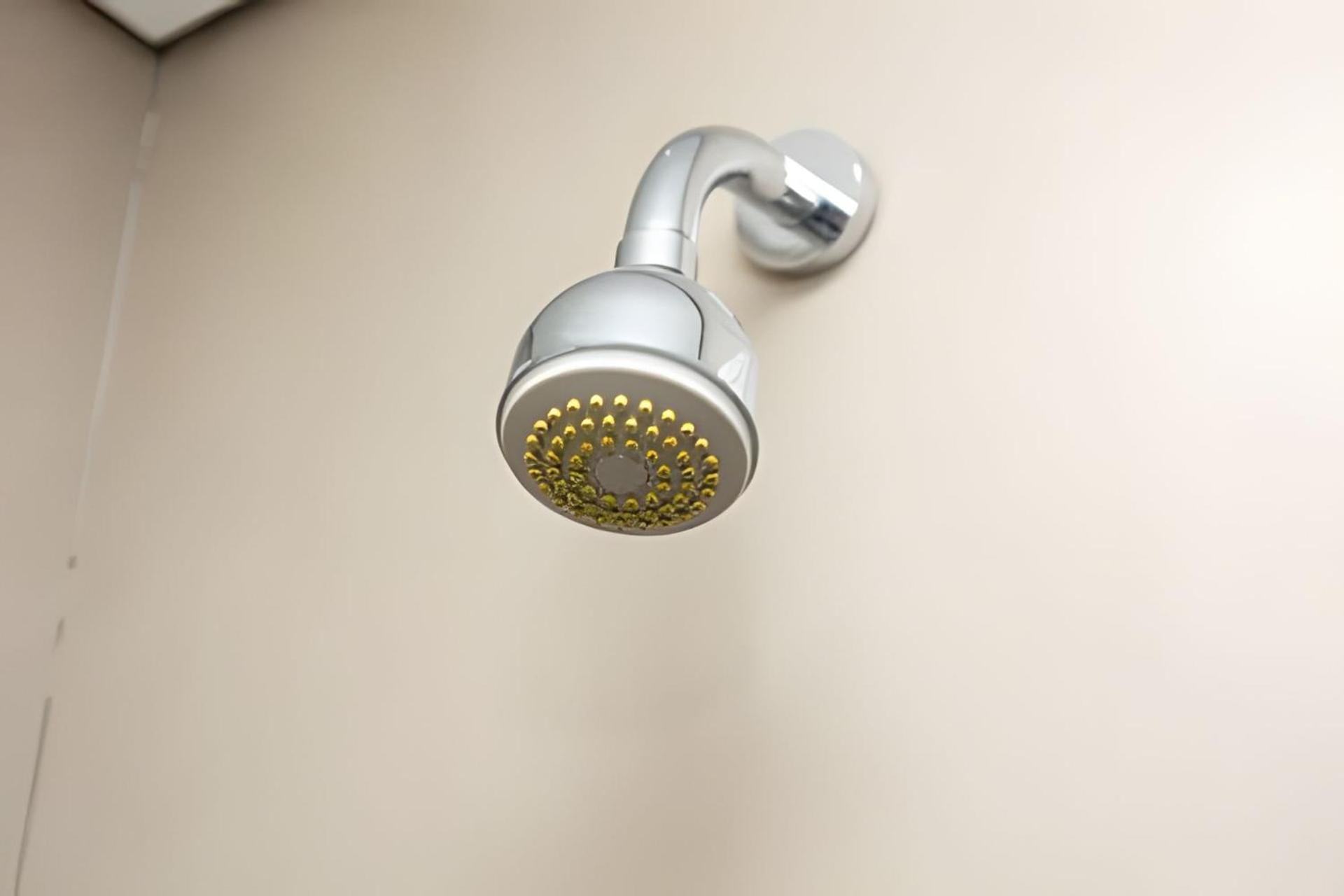 Easy Star - Belo Ao Lado Allianz - Tg01i